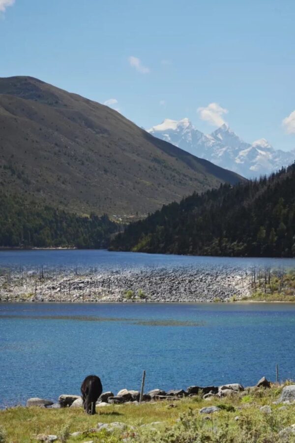 4-day tour around Western Sichuan: Mount Siguniang & Yuzixi - Day 1: Chengdu, Maobliang and Shuangqiao Valley