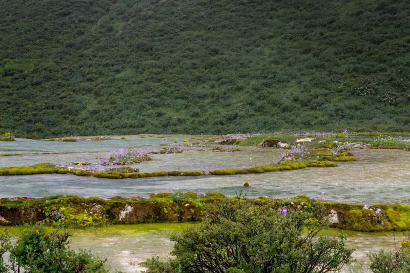 4-Day Tour to Mount Siguniang, Moshi Park, Yuzi West, and Lenggacuo (2-8 people) - Day 1: Shuangqiao Valley makes a strong first stop