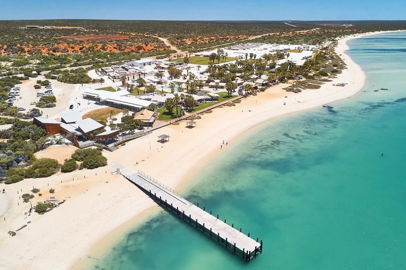4D3N Perth to Monkey Mia Dolphins Pink Lake Tour with Hotel Comfort - What the room and meal package actually covers