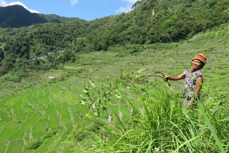 4D3N Sagada and Banaue Rice Terraces Tour - The road to Banaue and the long Batad outing
