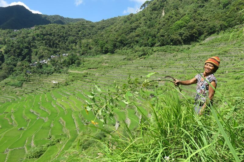 4D3N Sagada and Banaue Rice Terraces Tour - The road to Banaue and the long Batad outing