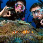 5 Day PADI Learn to Dive in Cairns - Day two: final lessons and exam
