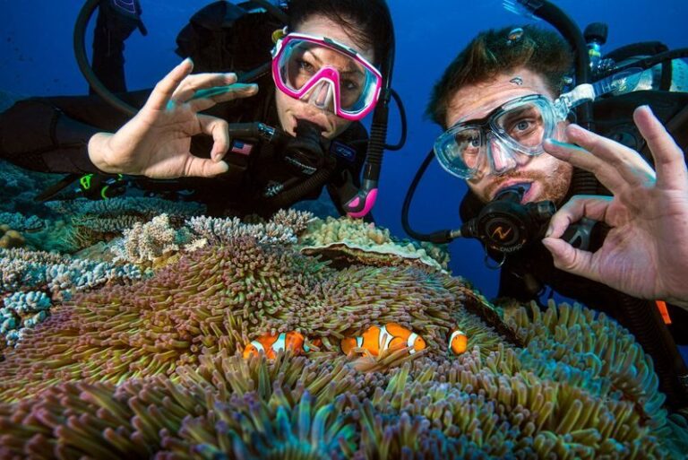 5 Day PADI Learn to Dive in Cairns - Day two: final lessons and exam