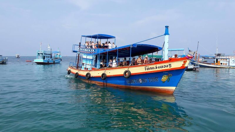 5 Islands Day Trip to Koh Nangyuan from Koh Tao - Japanese Garden: a first look beneath the surface