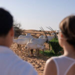 57 Luxury Heritage Desert Safari - Heritage activities in the open desert