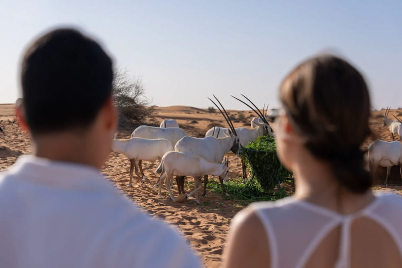 57 Luxury Heritage Desert Safari - Heritage activities in the open desert
