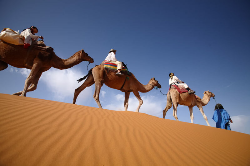 6-Day Tour To Marrakech Via Chefchaouen & Desert From Casablanca - Day 1: Hassan II Mosque, Rabat, and the blue lanes of Chefchaouen