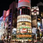 7 Day Essential Japan (Private Guide and Driver) - Umetravel - Hakone’s lake, volcano, and bridge make a full day