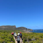 7 Day Grand Tasmania Small Group Guided Tour - Day two: Strahan, Henty Dunes and the west-coast rainforest