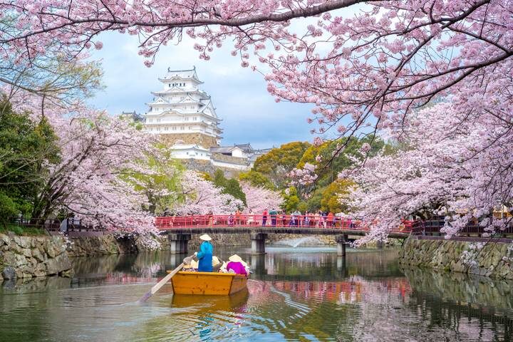 7-Day Japan Delight: Tokyo, Mt. Fuji, Kyoto by Intertrips - Day 1: Arriving in Tokyo, or somewhere nearby