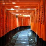 7 Days Highlights of Japan by Tomato Travel - Day 1: Arrive near Narita, not central Tokyo
