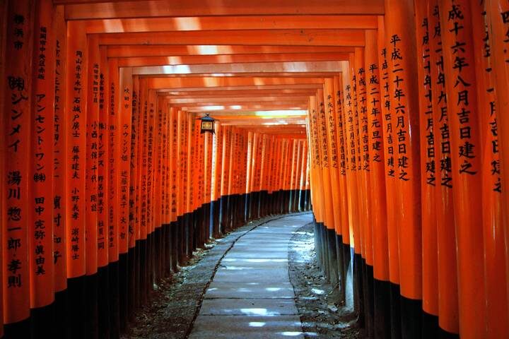 7 Days Highlights of Japan by Tomato Travel - Day 1: Arrive near Narita, not central Tokyo