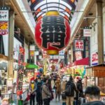 8 Day Splendid Japan (Private Guide and Driver) - Umetravel - Kyoto and Nara: torii gates, a giant Buddha and deer with opinions