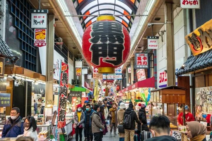 8 Day Splendid Japan (Private Guide and Driver) - Umetravel - Kyoto and Nara: torii gates, a giant Buddha and deer with opinions