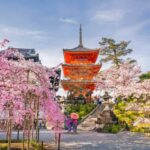 8D Splendid Japan-Private 3 Star Hotels-Osaka to Tokyo by Stunning Tours - Day 2: Meet Nara’s deer and the Great Buddha