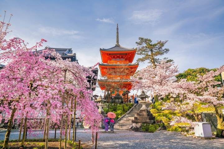 8D Splendid Japan-Private 3 Star Hotels-Osaka to Tokyo by Stunning Tours - Day 2: Meet Nara’s deer and the Great Buddha
