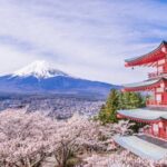 9 Day Best of Japan Cherry Blossom Tour 2027 by UME Travel - Tokyo to Osaka - A long Fuji day, with a view that depends on the sky