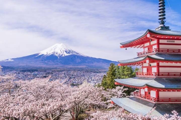9 Day Best of Japan Cherry Blossom Tour 2027 by UME Travel - Tokyo to Osaka - A long Fuji day, with a view that depends on the sky