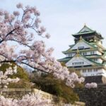 9 Days In Depth Cultural Japan Small Group Tour by UME Travel - Osaka to Tokyo - Fushimi Inari and old Kyoto on foot