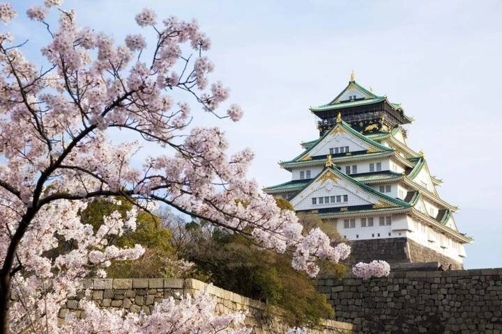 9 Days In Depth Cultural Japan Small Group Tour by UME Travel - Osaka to Tokyo - Fushimi Inari and old Kyoto on foot