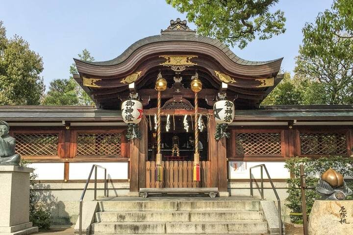 9 Days Japan Classic Tour (Private Guided) by Odynovo - Mount Fuji by road, boat, and lakeside
