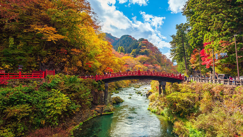 9-person small group Nikko Toshogu Shrine & Irohazaka & Lake Chuzenji One-Day Tour (Hotel pickup and drop-off available) - Toshogu Shrine: detail before scenery