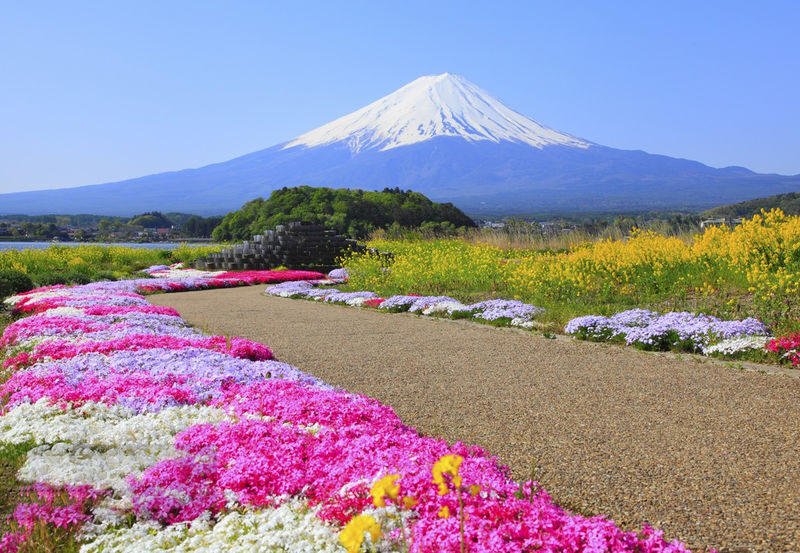 9-person small group tour | Six major photo spots at Mount Fuji | Arakurayama Sengen Park & Hinokawacho Clock Shop & Internet-famous Lawson & Oshino Hakkai & Lake Kawaguchiko & Lake Yamanakako | Departing from Tokyo - Lake Yamanakako: a calmer first view