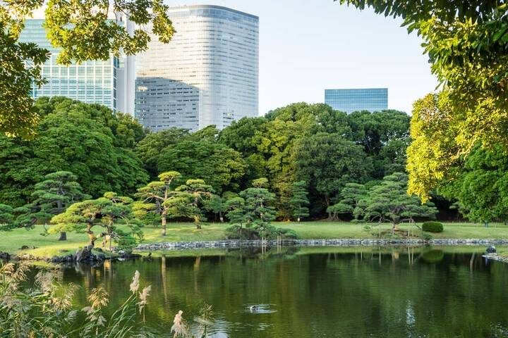 A Taste of Japan - Tokyo, Kyoto and Osaka by Explore! - 12-Day Tour - Takayama and Shirakawago: the rural pause