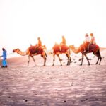 Abu Dhabi Morning Desert Safari with Dune Bashing - Dune bashing: the main event