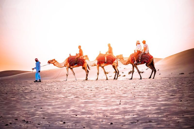 Abu Dhabi Morning Desert Safari with Dune Bashing - Dune bashing: the main event
