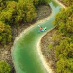 Abu Dhabi Reem Central Park Half-Day Kayaking Tour - What the two-hour itinerary feels like