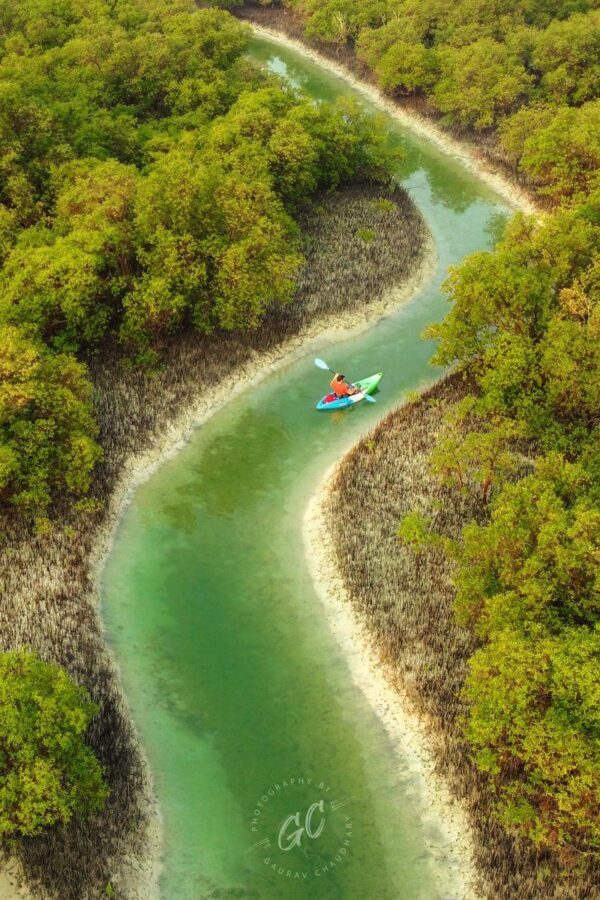 Abu Dhabi Reem Central Park Half-Day Kayaking Tour - What the two-hour itinerary feels like