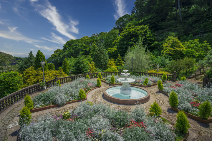ACAO FOREST Ticket in Shizuoka - Sea views, garden features, and photo stops