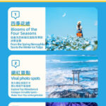 Adachi Flower Garden Night Wisteria & Ibaraki Nemophila Flower Sea Day Trip - Kamiiso Torii: a short stop with a big view