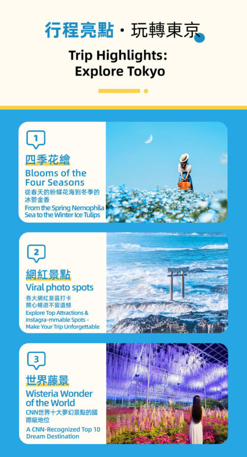 Adachi Flower Garden Night Wisteria & Ibaraki Nemophila Flower Sea Day Trip - Kamiiso Torii: a short stop with a big view