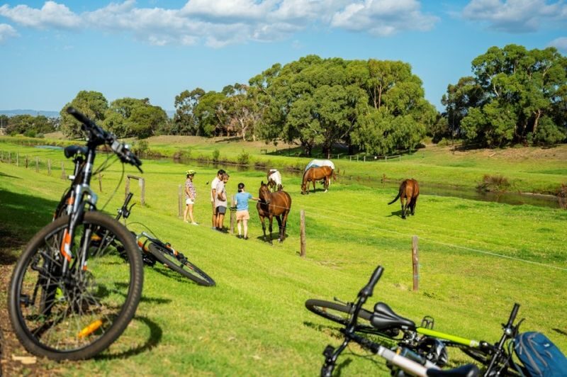 Adelaide City to Sea Bike Tour - Following the Torrens to Henley Square