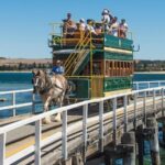 Adelaide Fleurieu Peninsula Full-Day Chinese Small Group Tour - The beach stop: time to explore on your own