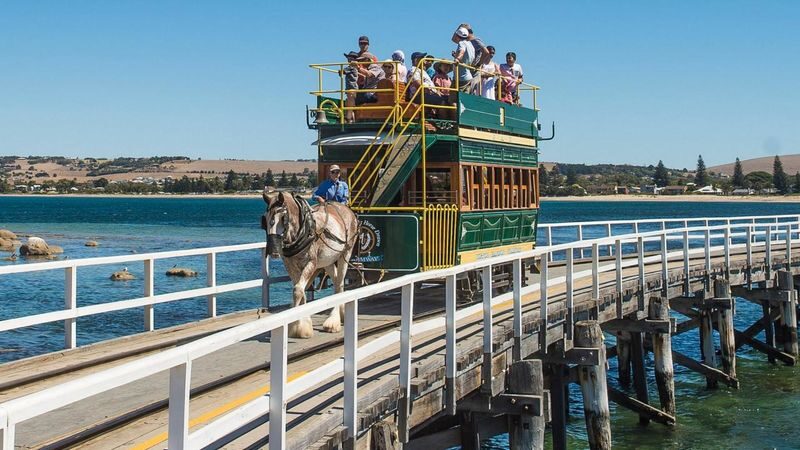 Adelaide Fleurieu Peninsula Full-Day Chinese Small Group Tour - The beach stop: time to explore on your own