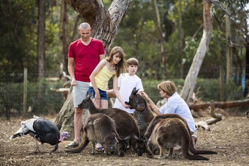 Adelaide Kangaroo Island 2-Day National Park Tour - Two guided days, with room to look around