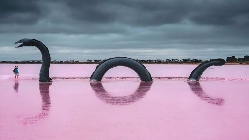 Adelaide Pink Lake & Penfolds Magill Estate Day Trip (Chinese Guided Tour, Small Group of 12) - The long run to Bumbunga Lake