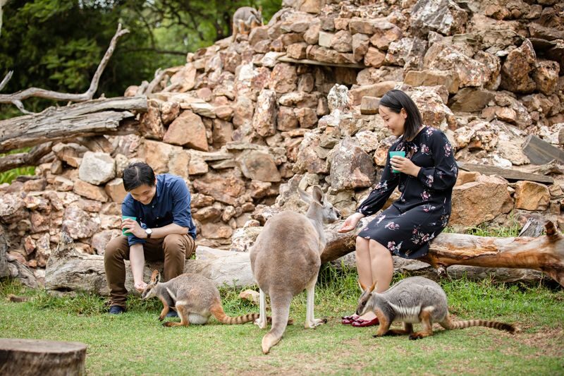 Adelaide Zoo Admission - Keeper talks and the free-flight bird show