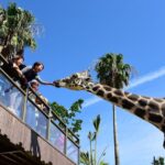 Adventure World Admission Ticket in Wakayama - Start with the Kenya Car