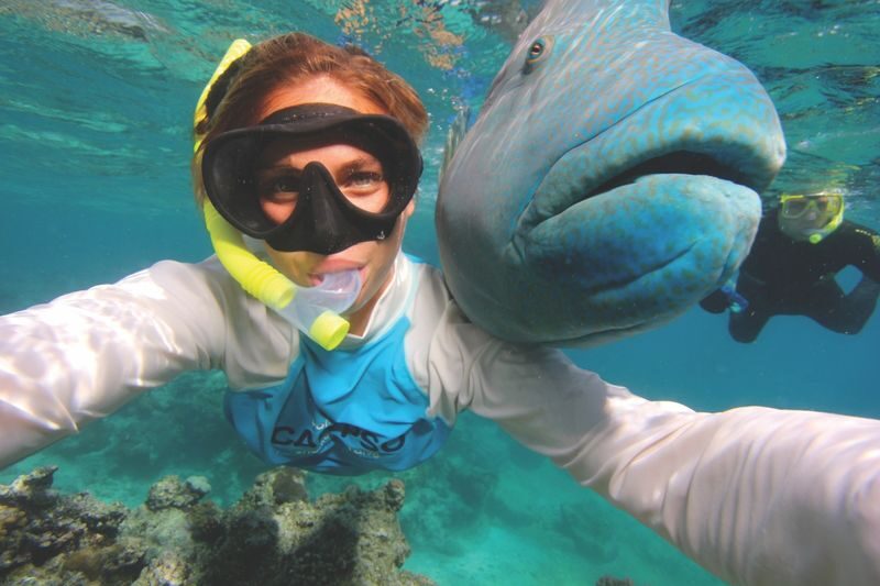 Agincourt Reef Snorkeling Experience from Port Douglas, Cairns or Northern Beaches - What the morning at Crystalbrook Marina involves