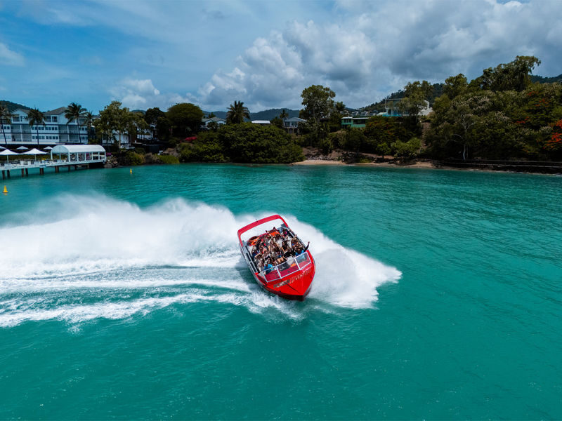 Airlie Beach Jet Boat Thrill Ride - The return brings a chance to spot wildlife