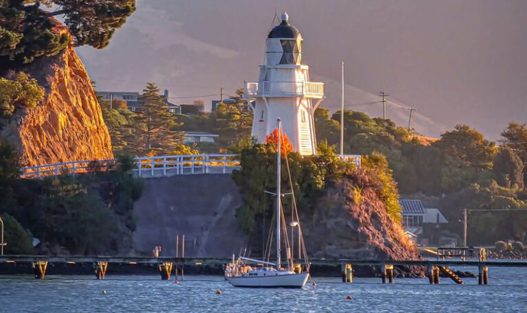 Akaroa French Town & Alpaca Farm Full-Day Tour - Meeting the alpacas in Wainui