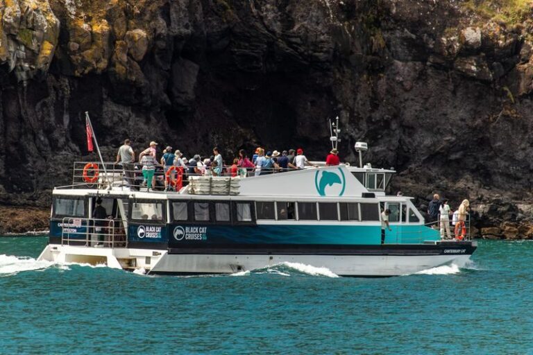 Akaroa Harbour Nature Cruise - Out on the water, with the crater all around