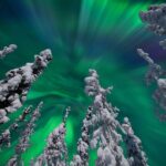 Alaska Fairbanks Half-Day Guided Aurora Viewing Tour - What the viewing stop is really like