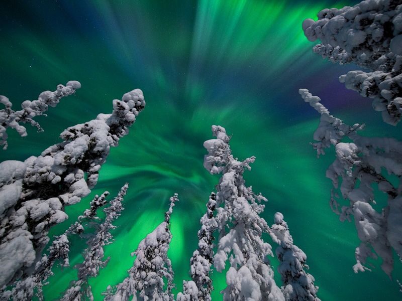 Alaska Fairbanks Half-Day Guided Aurora Viewing Tour - What the viewing stop is really like