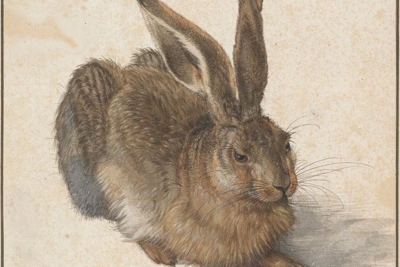 Albertina Museum ticket in Vienna - How to pace a two- to three-hour visit