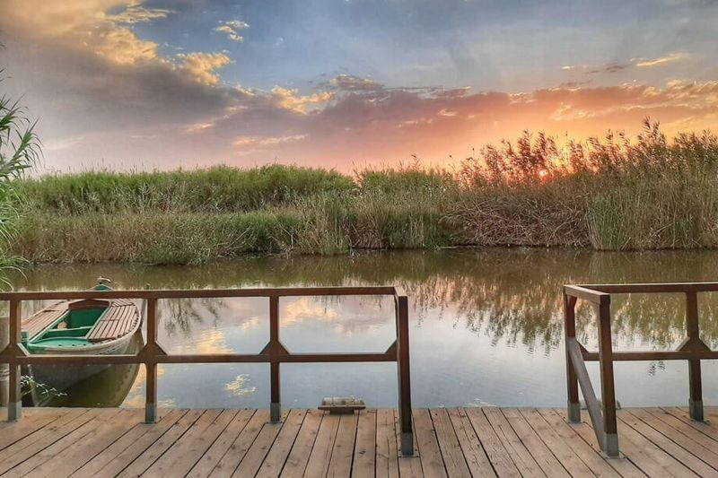 Albufera Natural Park Day Tour from Valencia - El Saler dunes and the Gola de Puchol